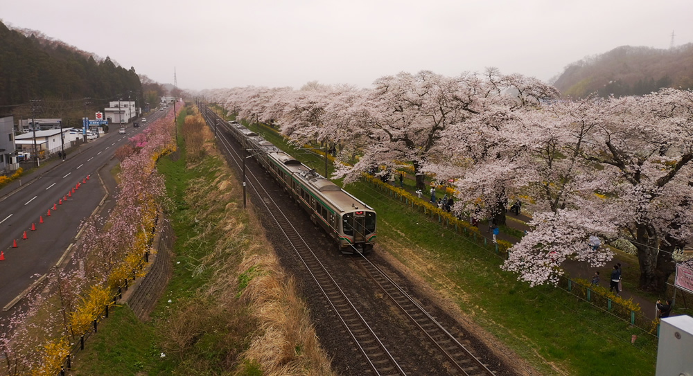 ���΂����������̓d�Ԃƍ�