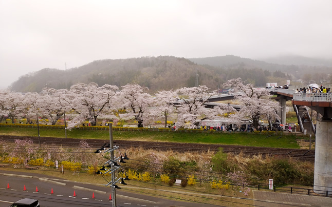 ���Ɍ�����哇