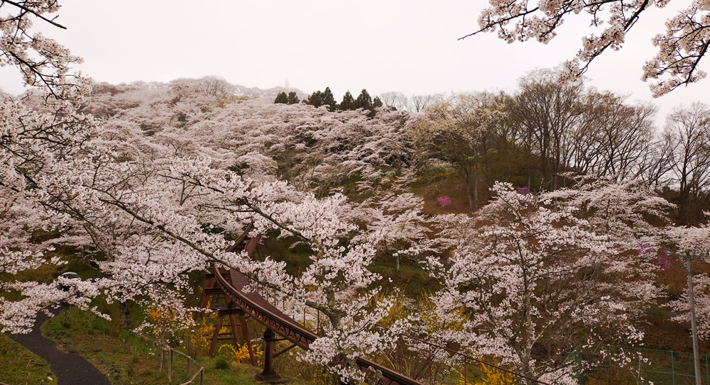 �D���隬�����@�R��ʂ̍��R