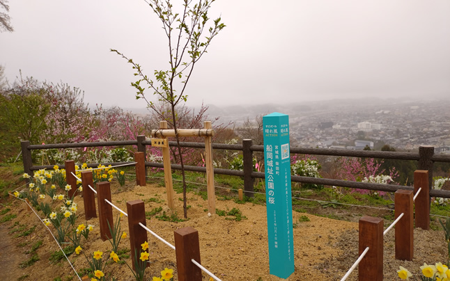 ���� ��t