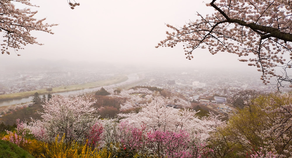 ��ڐ�{���@�D���隬���� ���k�L���̍��̖��� ���΂炵�����̌i�F