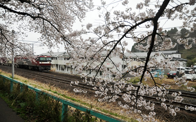 ���Ɖݕ����