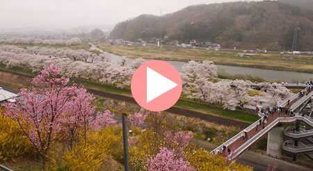 �y�肩�猩���