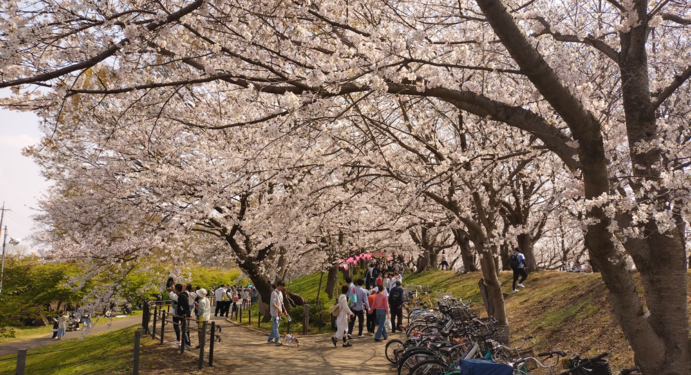 ���������@����