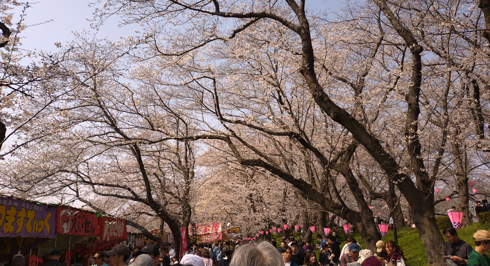 ��������̐l�ƘI�X