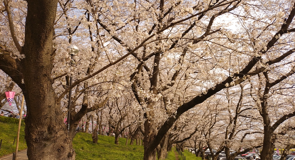 �������������͋C�@���̖���