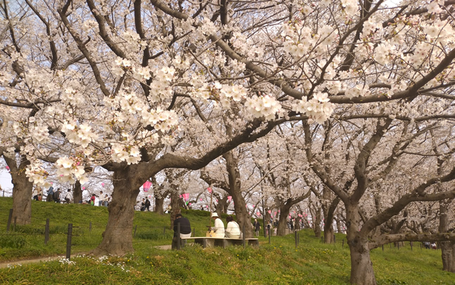 �₳�����ė����������t�̈ꖇ