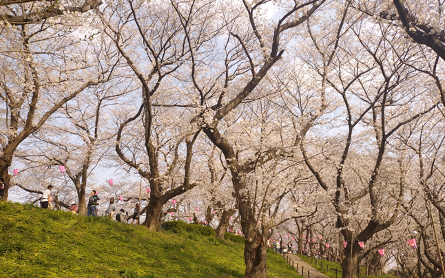 ����X�|�b�g