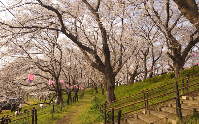 �l�����Ȃ�����X�|�b�g