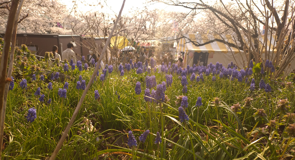 �����������K���