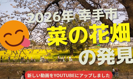 ����������@�؂̉Ԕ�