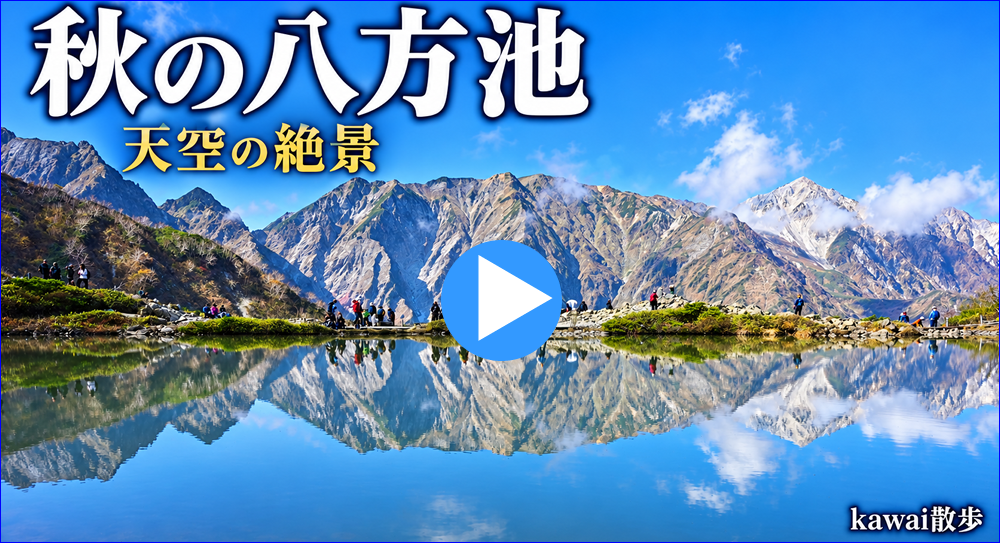 ����Ō��锒�n�����r