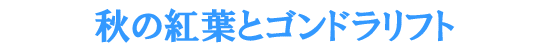 �H�̍g�t�ƃS���h�����t�g