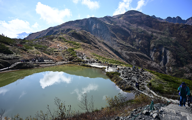 ���������ꏊ���璭�߂锪���r�I