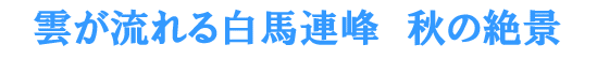 �_������锒�n�A��A�H�̐�i