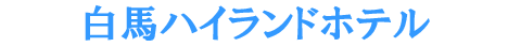 ���n�n�C�����h�z�e��