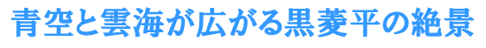 ��Ɖ_�C���L���鍕�H���̐�i