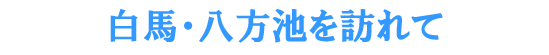 ���n�E�����r��K���