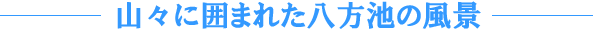 1. �R�X�Ɉ͂܂ꂽ�����r�̕��i