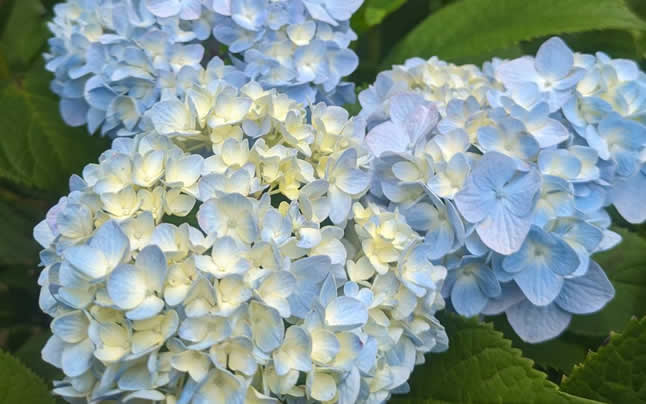 �{�y���@��������