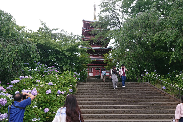 �{�y���@�܏d��