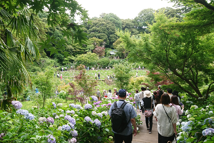 �{�y���@���������@�Ҋ�