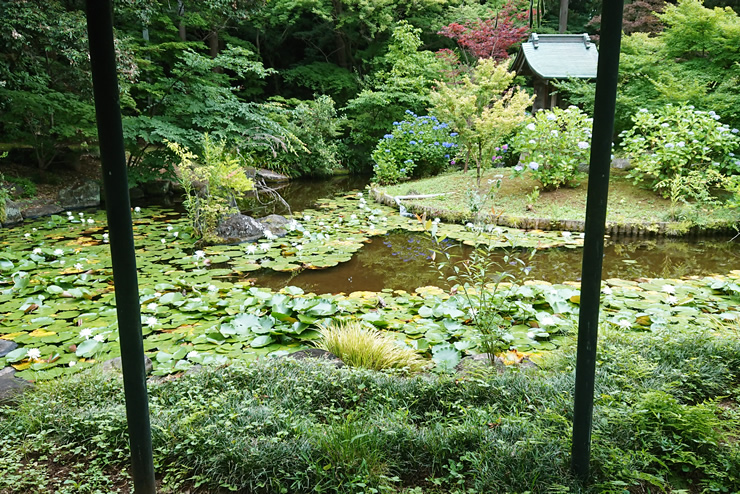 �{�y���@���@