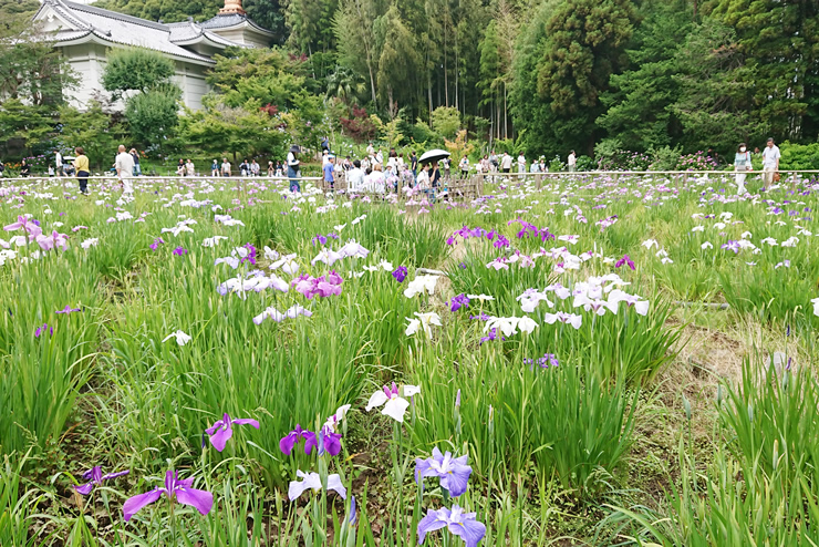 �{�y���@���������@�Ҋ�