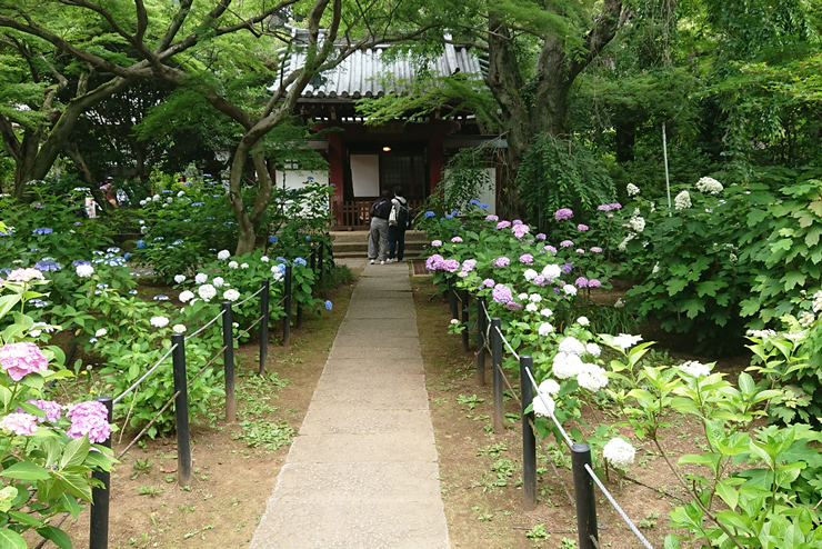 �{�y���@��������