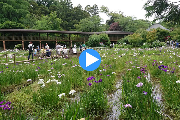 �{�y���Ҋ�