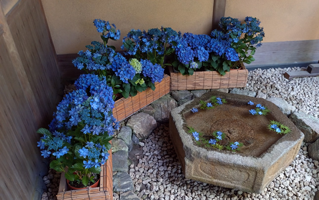 ���������Ԏ萅