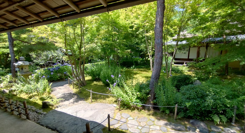 �����X�@�a�D�݂͎̌R��