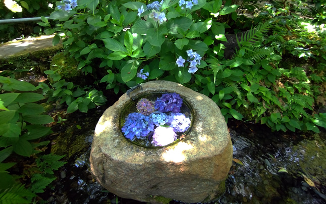 ���������Ԏ萅