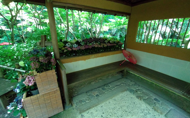 �l���ɒu���ꂽ��������