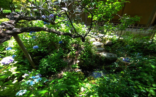 ����Ƃ�������