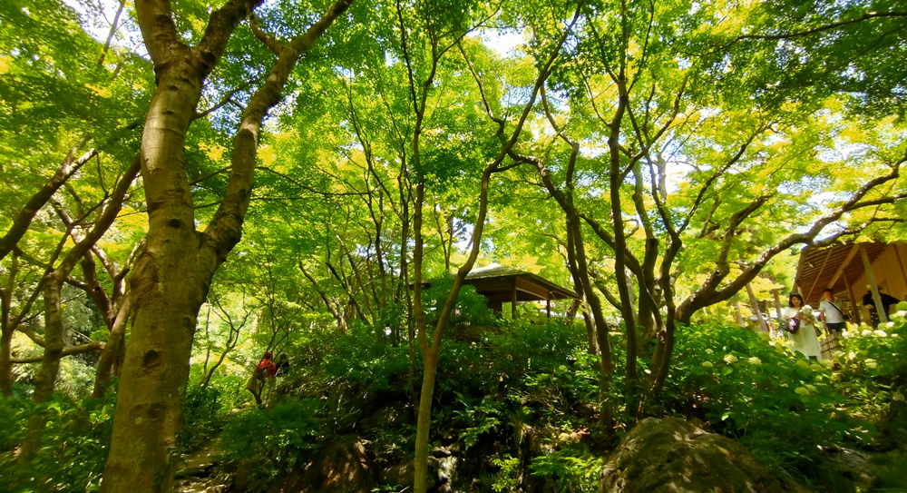 ��������̑� �Ր�̐X