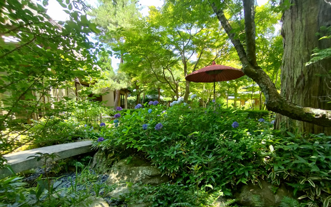 �炫�ւ邠������