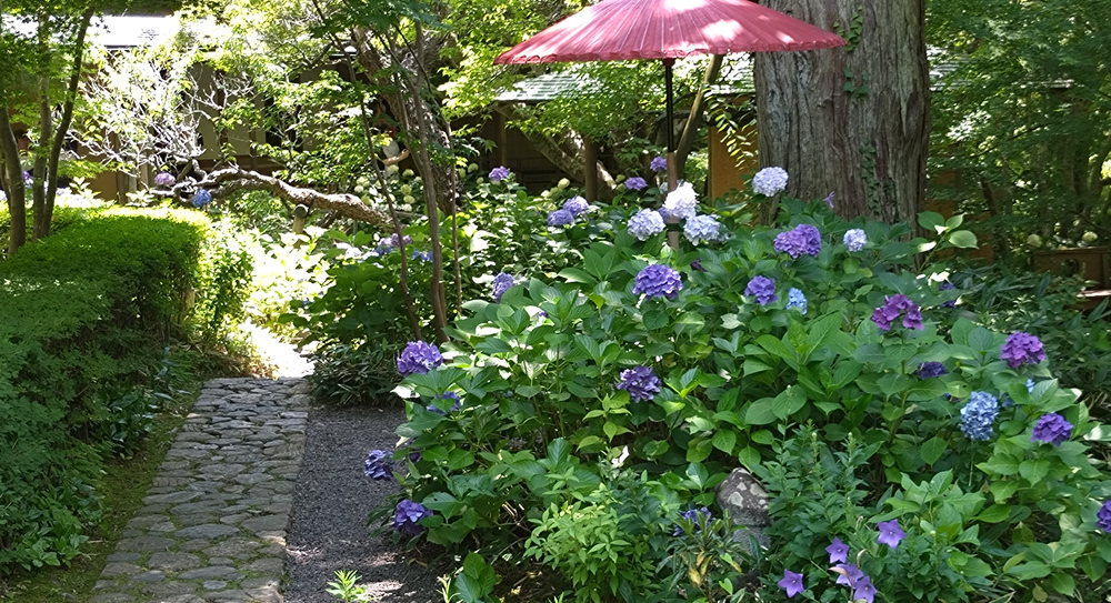 �ԎP�Ƃ��������̕���