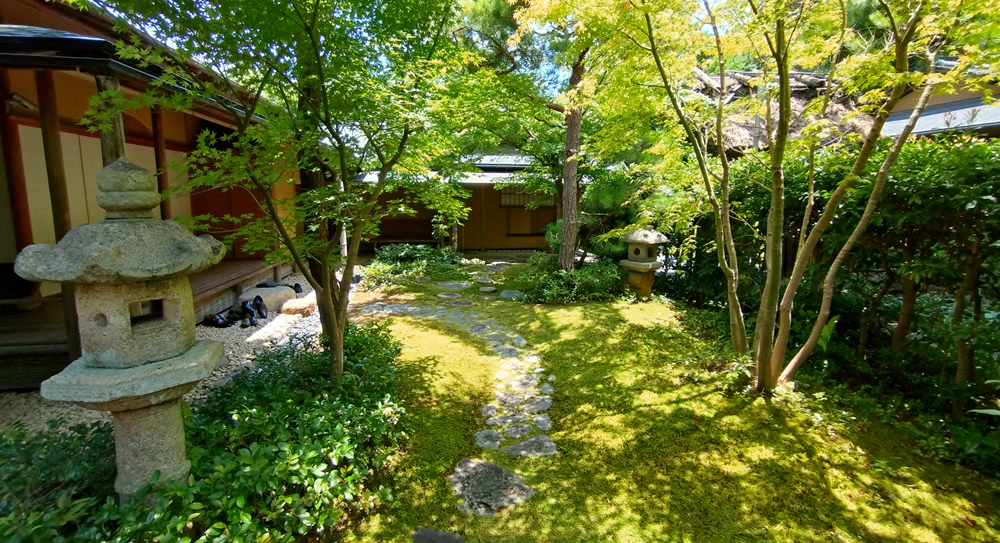 �������뉀