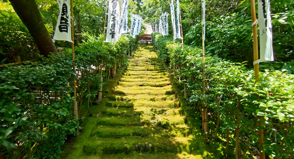 ���{���@�ۊK�i