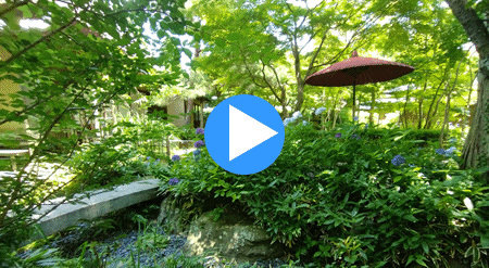 ����b�ώR������