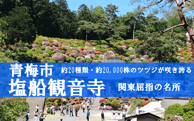 ���D�ω���