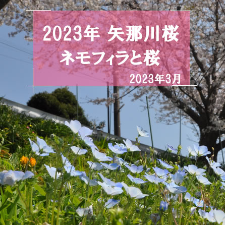 ��ߐ���@2023�N3��