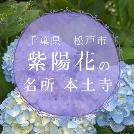 ���ˎs�@�{�y���@2024�N6��