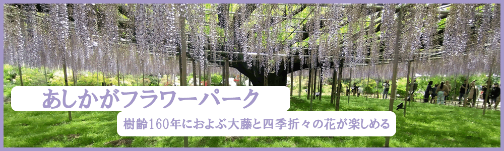 2025�N4�����������t�����[�p�[�N