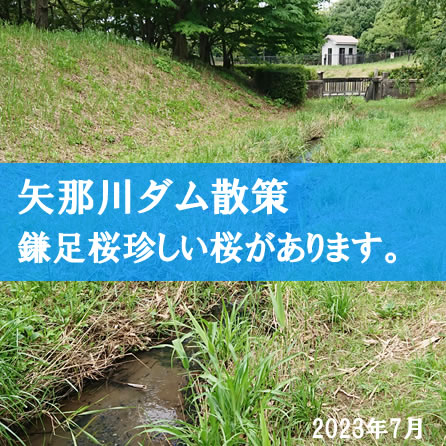 ��ߐ�_���@202�N7��