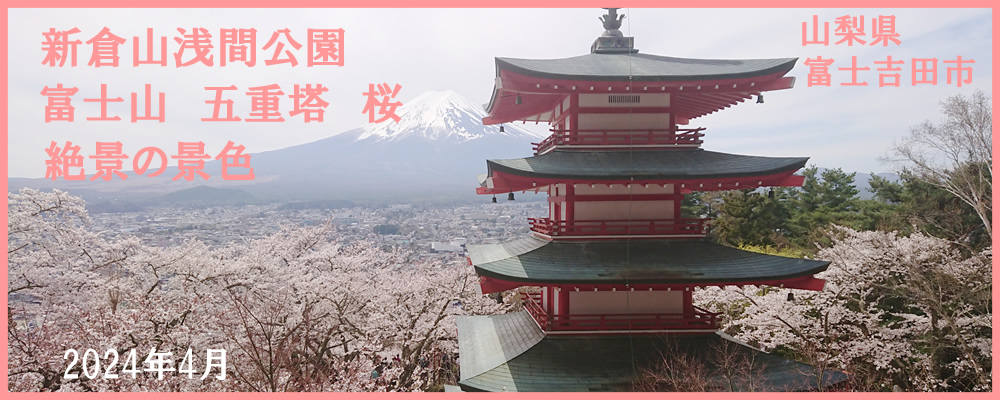 2024�N4���V�q�R��Ԍ���