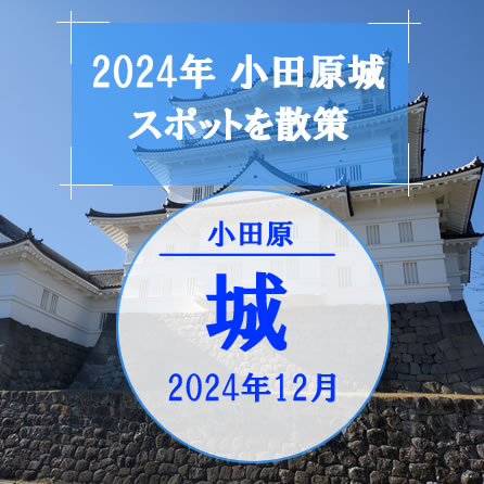 ���c����