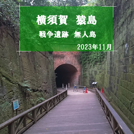 �����@2023�N11��