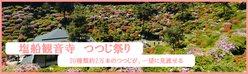 2025�N4�����D�ω�